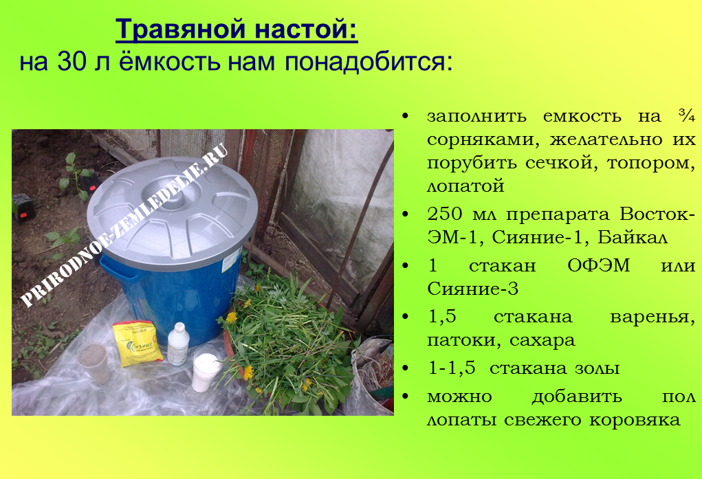 Заливной луг