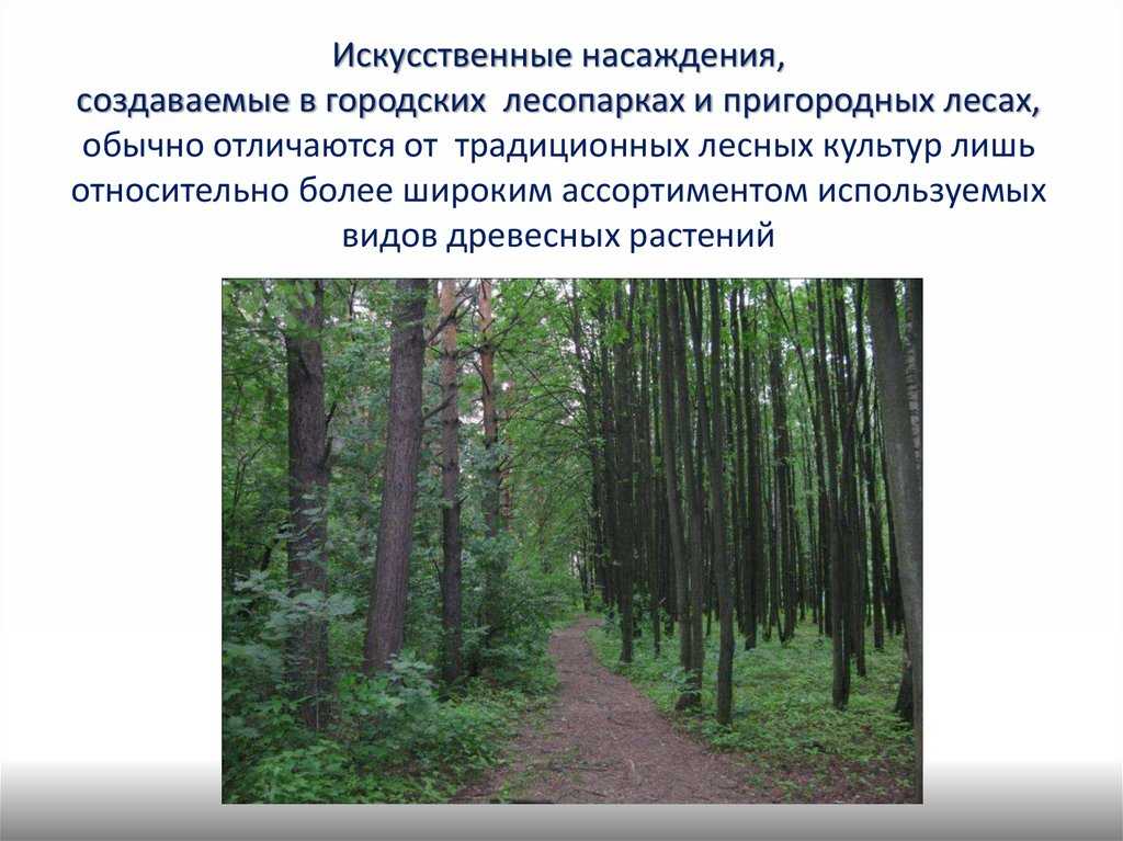 Лесоведение, 2019,  &numero; 1, стр. 64-74