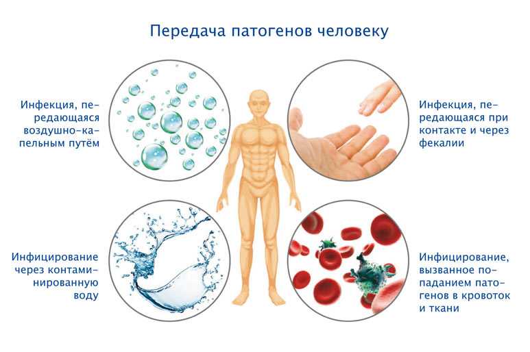 Как распространяется коронавирус? главные вопросы о covid-19