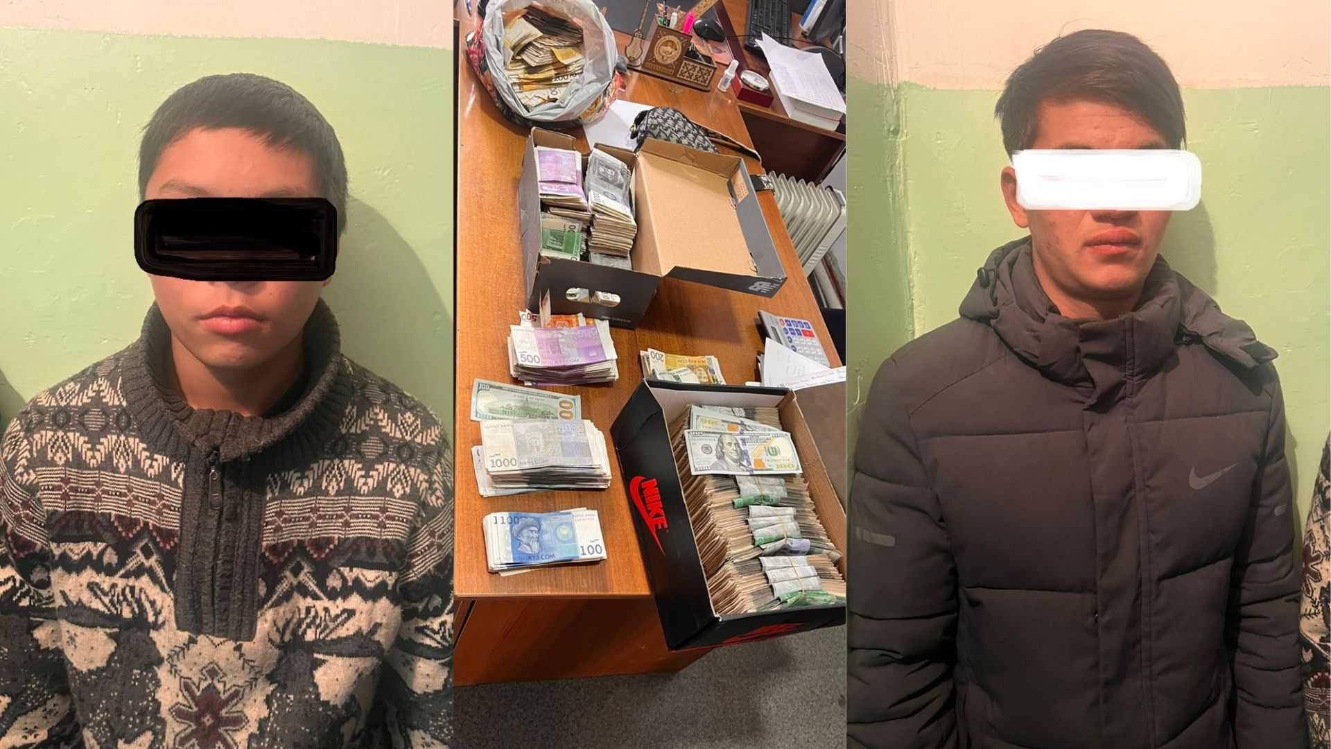 Жук усач – образ жизни, опасность и способы выведения жука дровосека с длинными усами