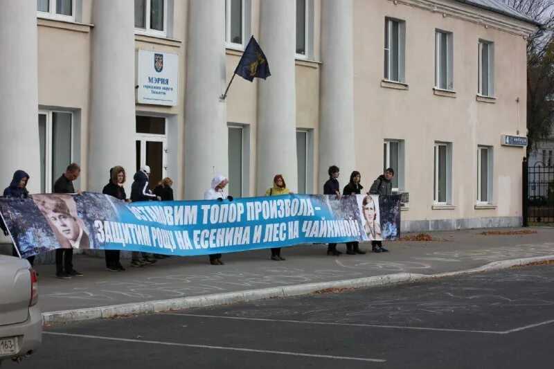 Лесные ресурсы. география 10-11 класс