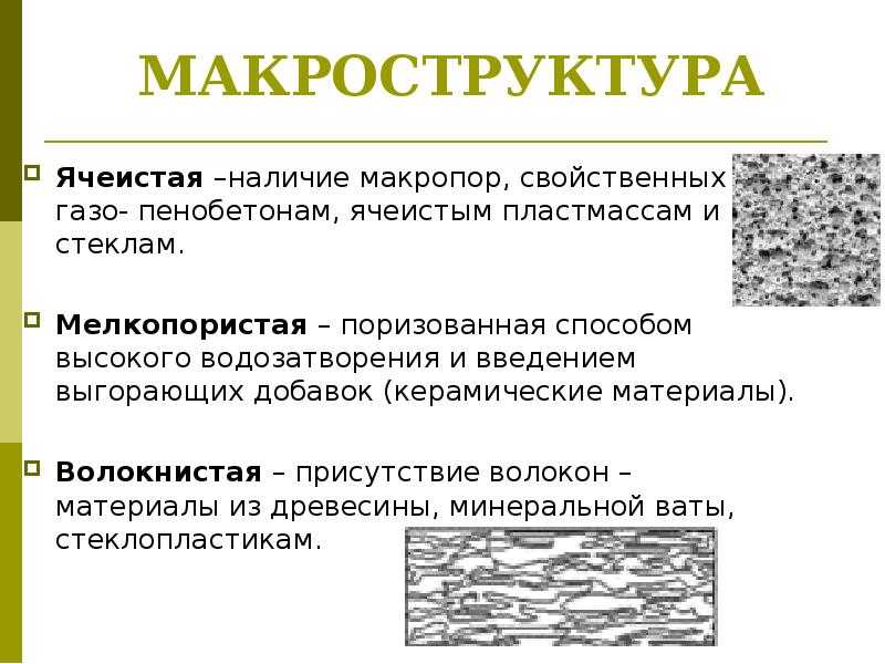 Строение древесины: макро- и микроскопическое + примеры в картинках