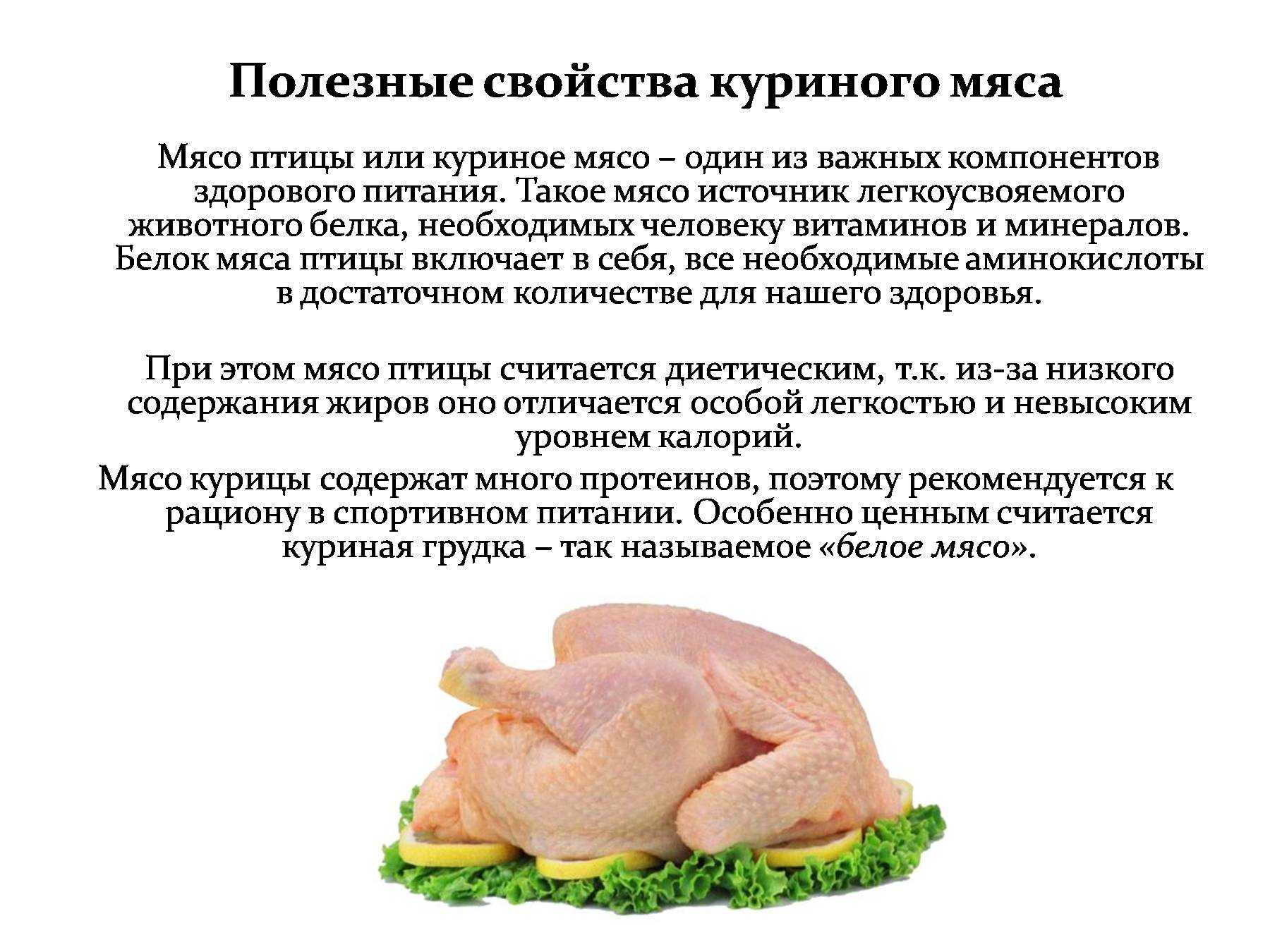 Мясо птицы, что это такое. виды мяса птицы | здоровье человека
