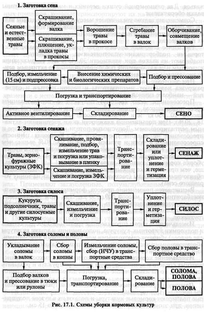 Правильная заготовка сена - технология заготовки сена