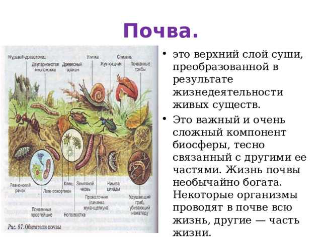 Краткий курс лекций