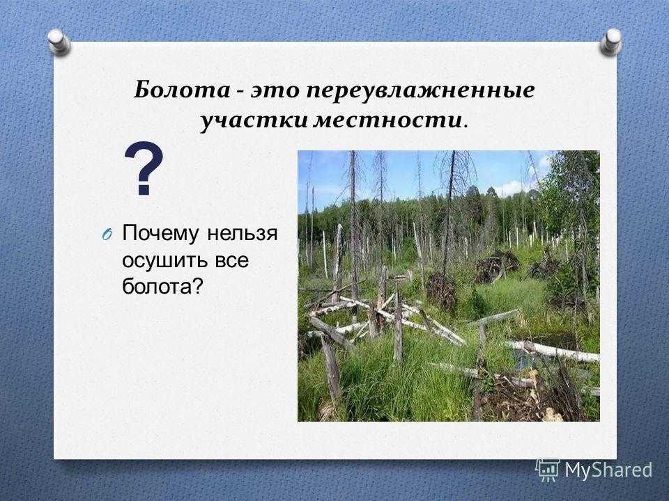 Корневая система [1976 думбляускас а.м. - осушение земель под сады]