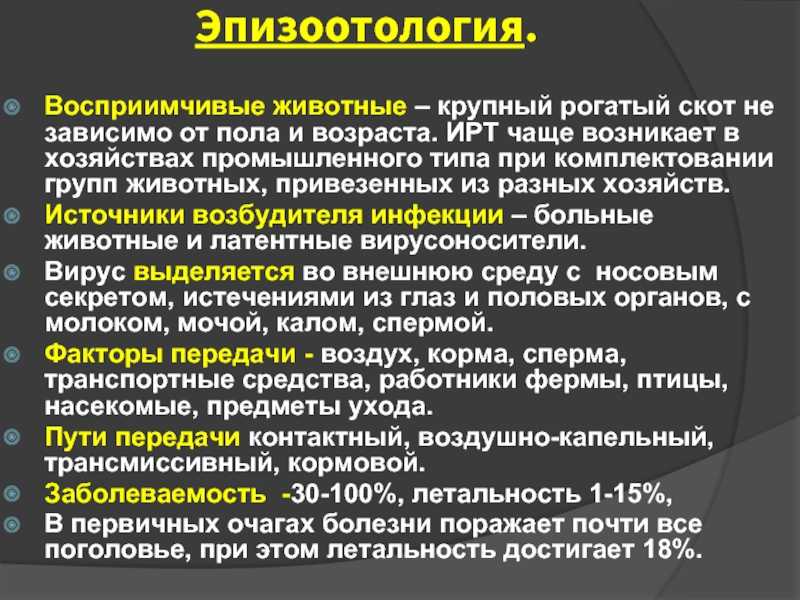 Инфекционный ринотрахеит