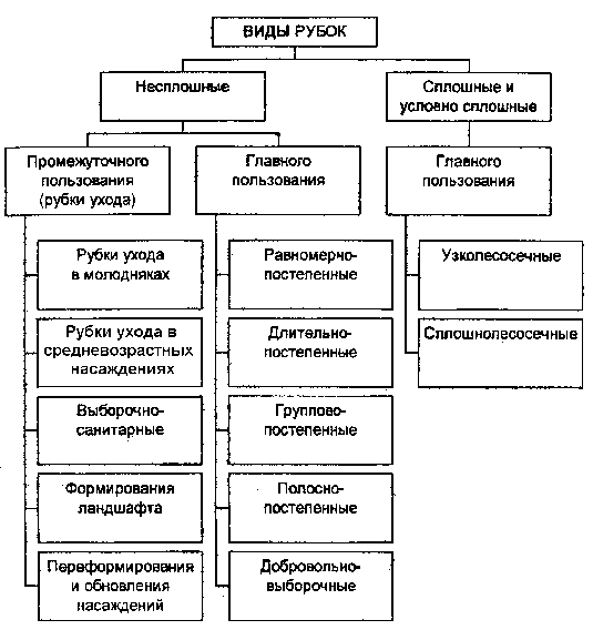 Рубки ухода за лесом
