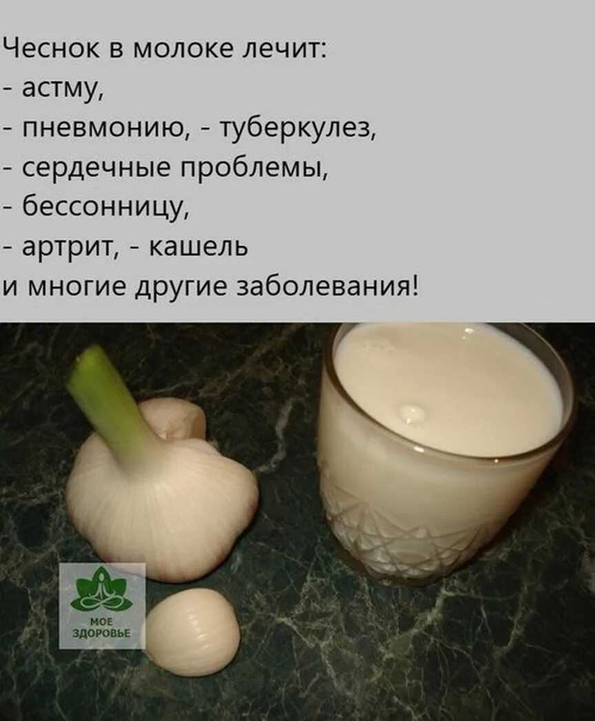Луковые овощные культуры