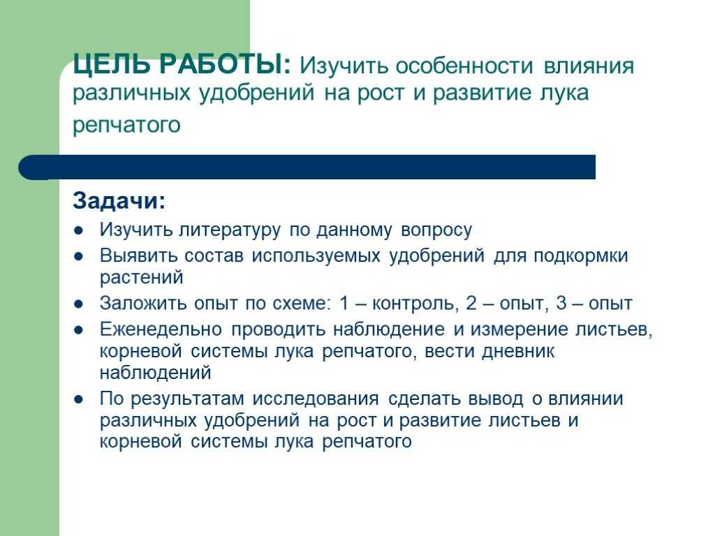 Ботанические и биологические особенности лука | обучонок