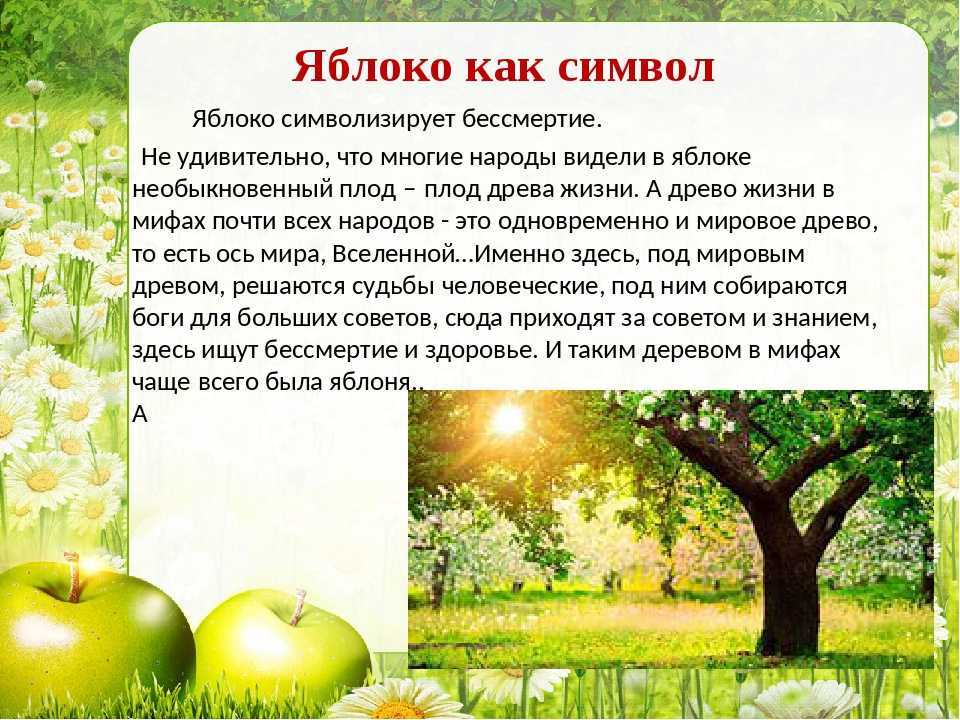 Откуда появилась яблоня?