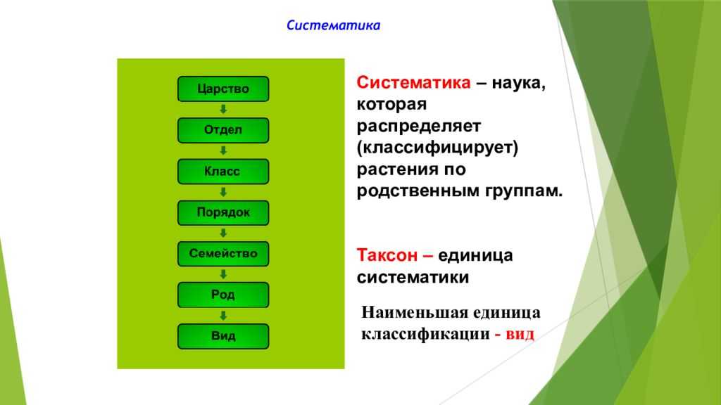 Таксономические категории и таксоны категорий [1971 коробков и.а. - палеонтологические описания]