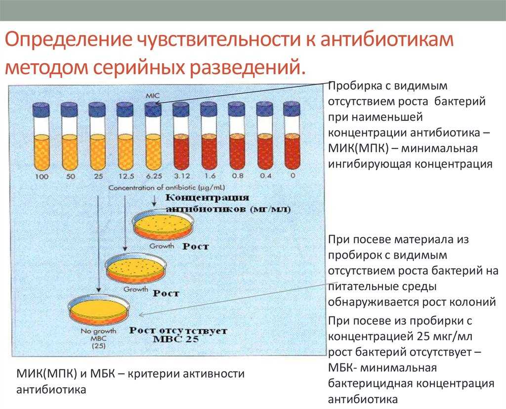 Принципы методов определения активности антибиотиков и других химиотерапевтических веществ - антимикробные агенты - фармацевтическая микробиология - в. а. галынкин - 2015