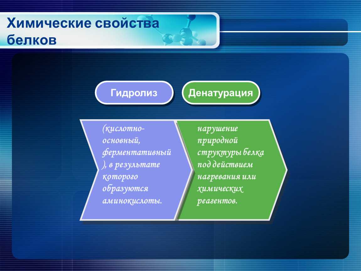 Физико-химические свойства белков: кратко