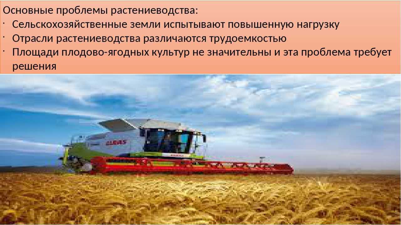 Кормопроизводство: системы, технологии, оборудование