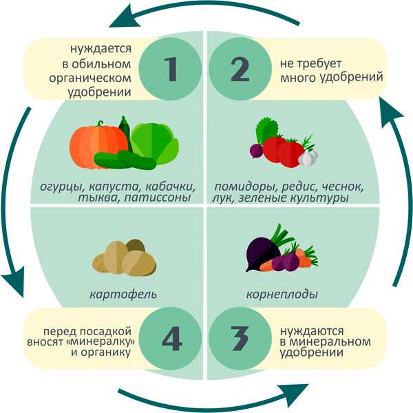 Технология выращивания озимой пшеницы