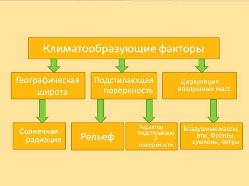 Презентация на тему: "экологические факторы. условия среды. урок экологии в 10 классе.". скачать бесплатно и без регистрации.