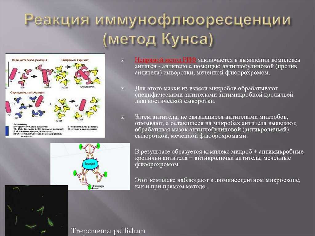 Презентация на тему: "иммунофлюоресцентный анализ". скачать бесплатно и без регистрации.