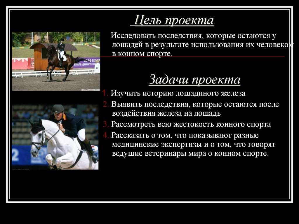 Люди спортивного туризма // фстр // спортивный туризм в россии