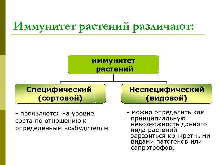 Устойчивость растений к внешней среде