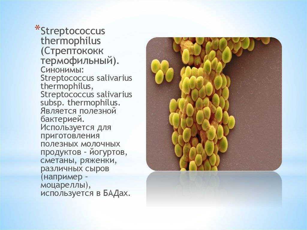 Микробиологические основы молочного производства (банникова, королёва, семенихина) 1987 год