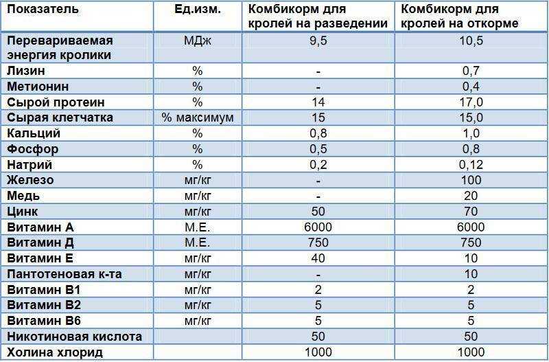 Правильное кормление кроликов | статья в журнале «молодой ученый»