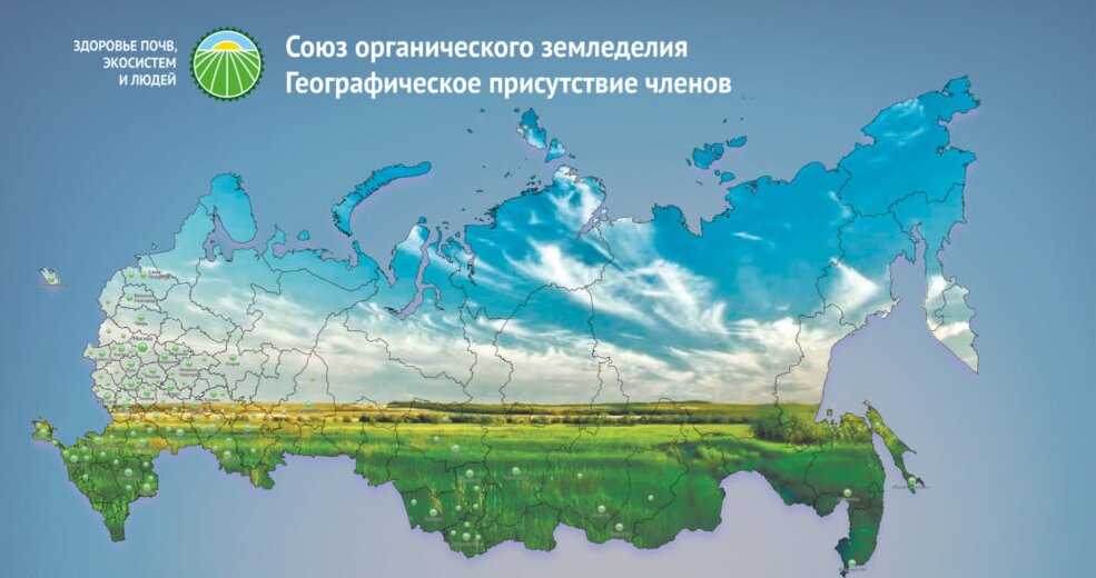 Организация и планирование семеноводства. государственный сортовой и семенной контроль. контрольная работа. сельское хозяйство. 2012-08-08