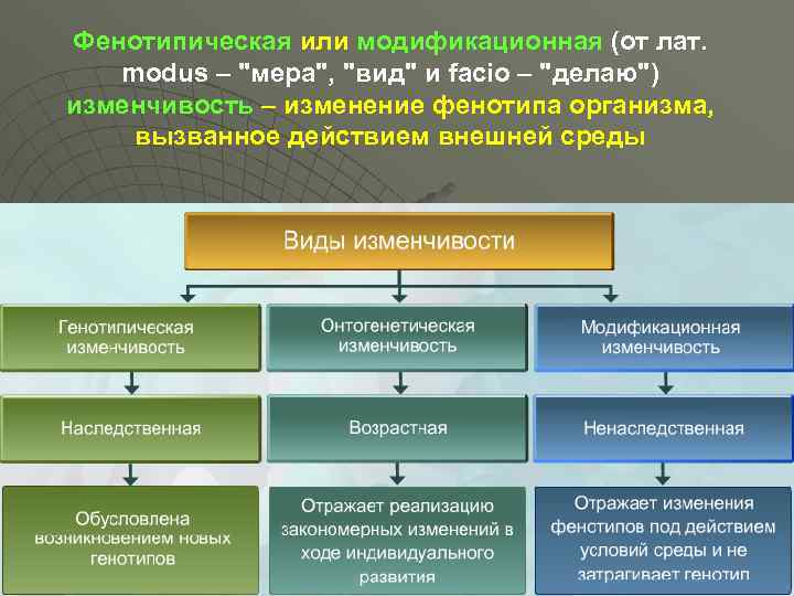 Презентация на тему: "мясная продуктивность овец мясная продуктивность овец лекцию читает: доктор биологических наук, профессор шайдуллин ильяс нургалиевич.". скачать бесплатно и без регистрации.