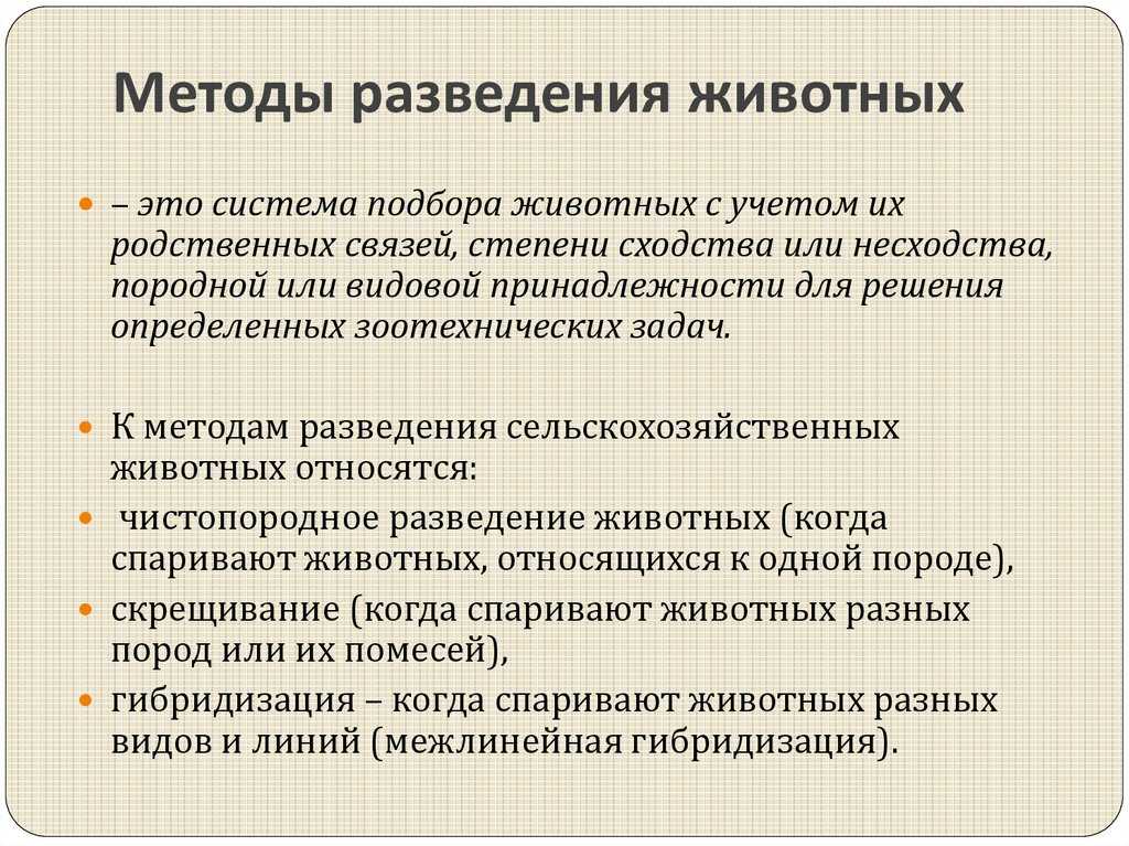 Презентация на тему "чистопородное разведение"