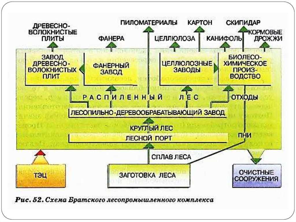 Структура, состав и перспективы развития лесопромышленного комплекса россии