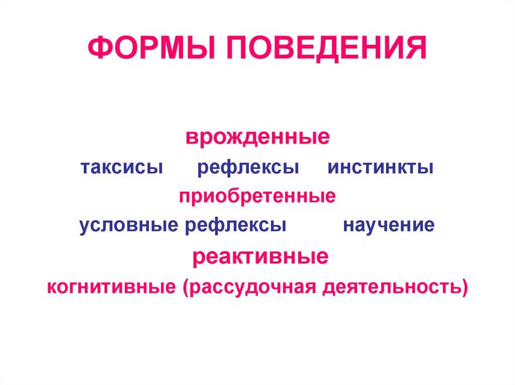 Понятие рефлекса и инстинкта. безусловные рефлексы, инстинкты