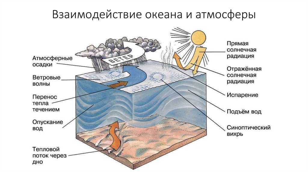 Тема: «взаимодействие океана с атмосферой и сушей. жизнь в океане.» - презентация