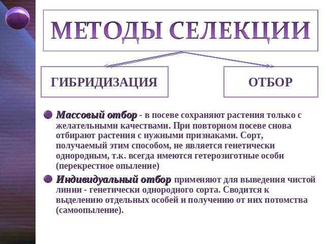 Методы селекции - понятие, виды и основные характеристики