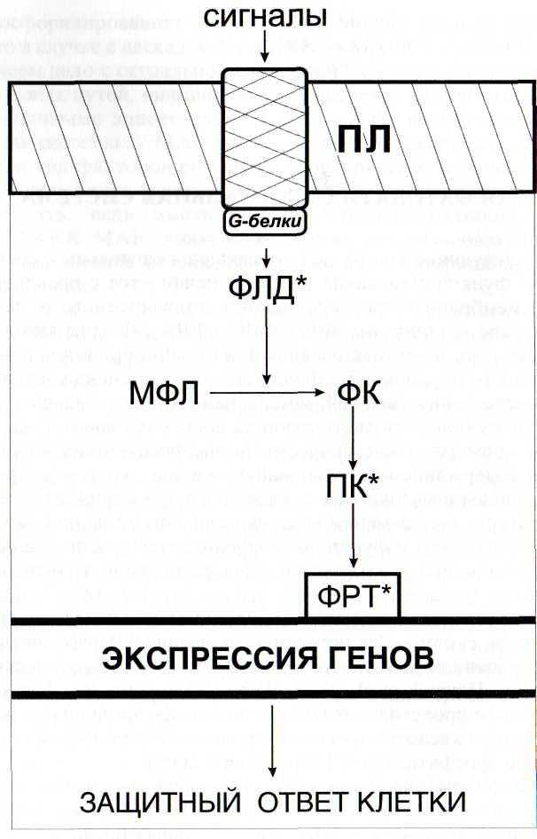 Иммунизирующий фунгицид | справочник по защите растений — агроxxi