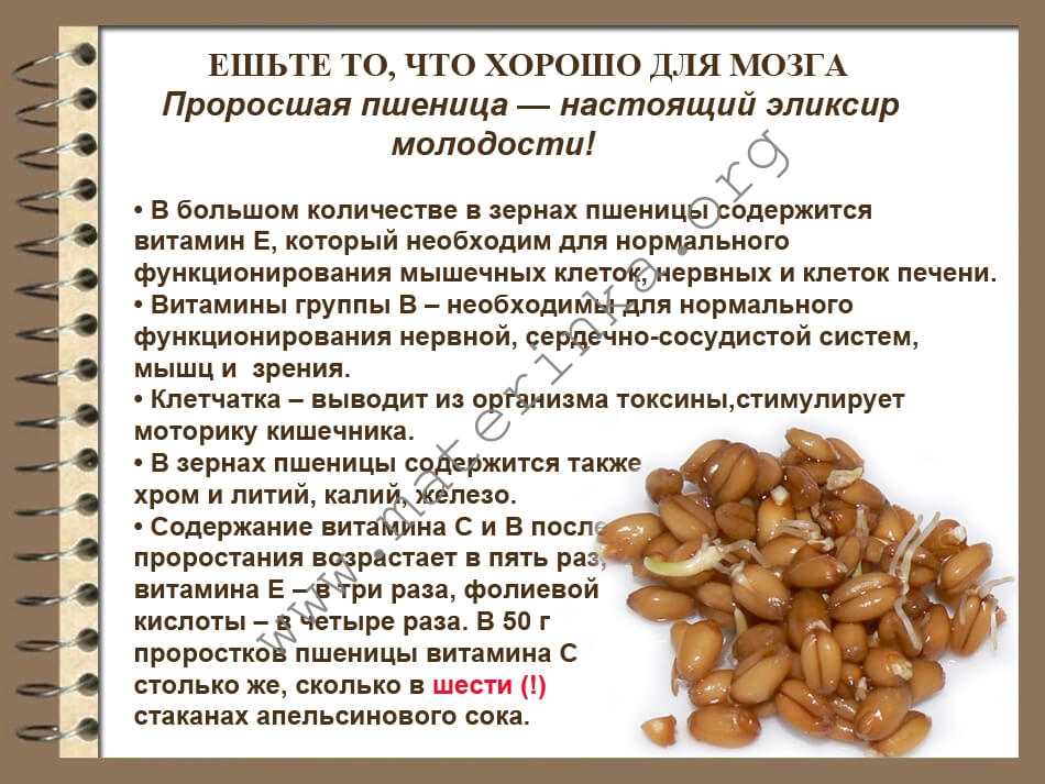 Калорийность пшеница мягкая краснозёрная озимая. химический состав и пищевая ценность.