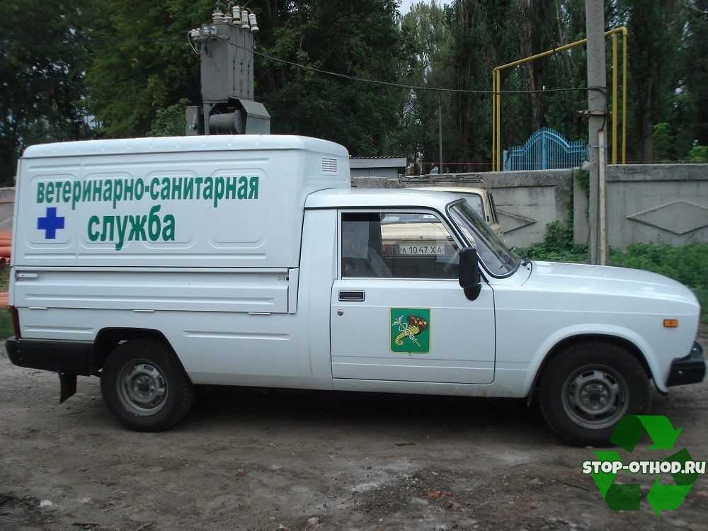 По вопросу утилизации трупов животных / о мероприятиях по обращению с животными без владельцев / экология / структура администрации / власть / администрация городского округа тольятти