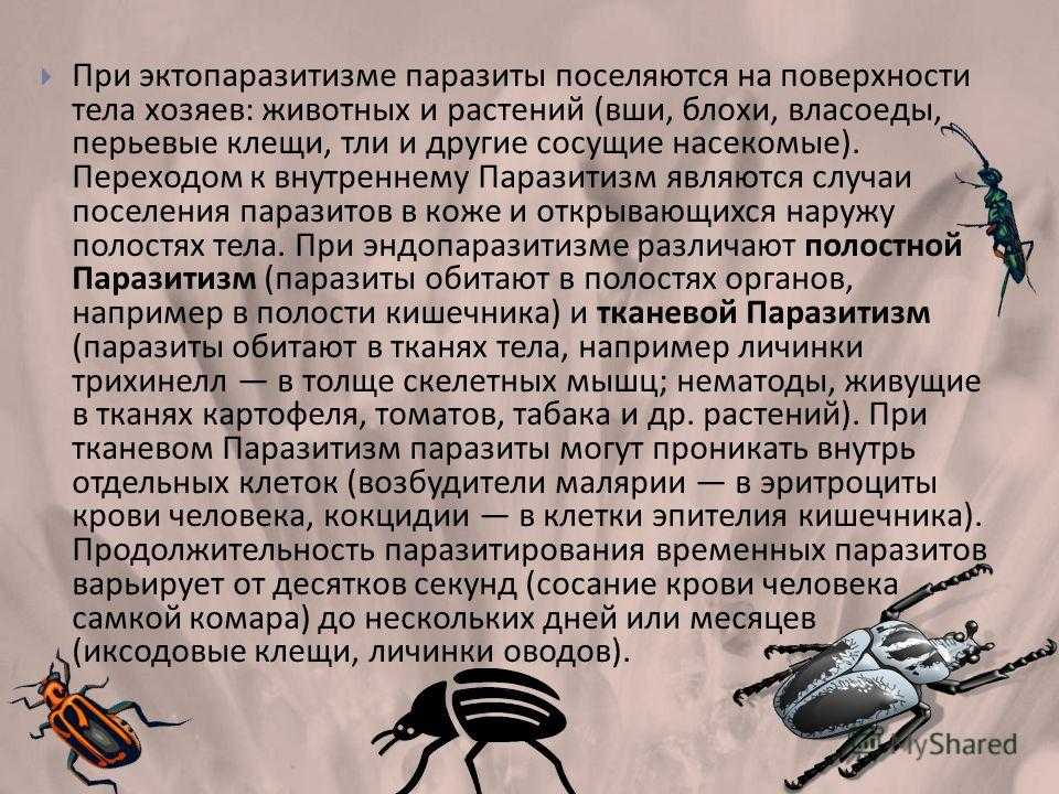 Каким был самый первый паразит в истории?