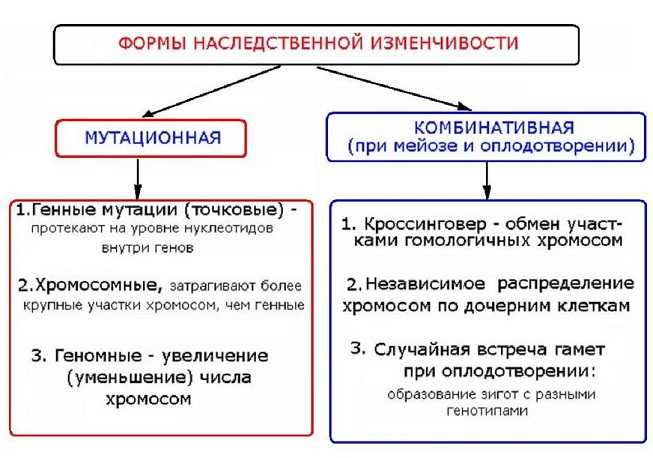 Основы генетики и селекция – теоретические основы в биологии