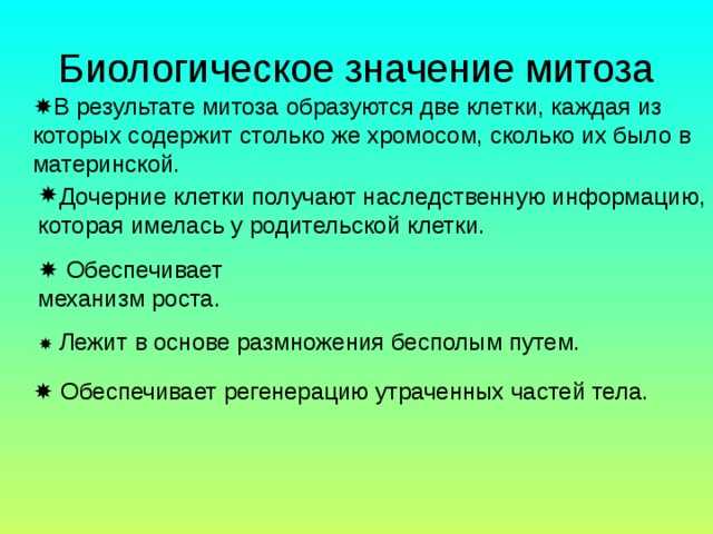 Митоз и мейоз: основные отличия и их роль в процессах размножения