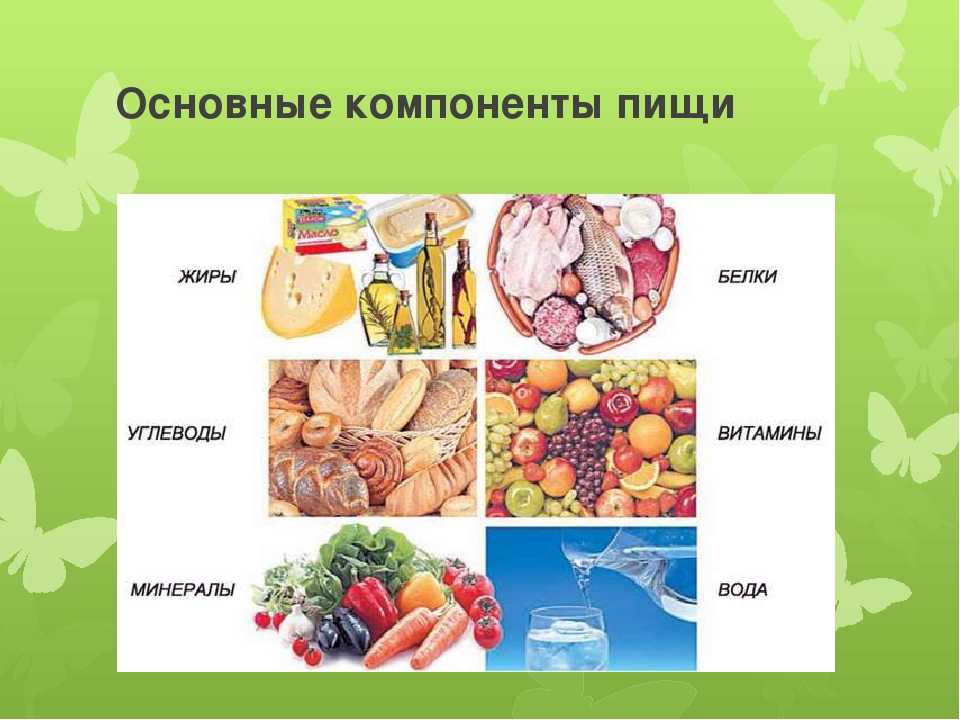 Питательные вещества: как белки, жиры и углеводы влияют на наш организм