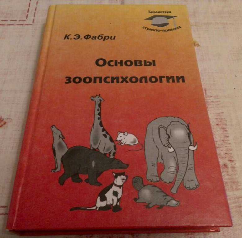 Характеристики и примеры двуногих животных