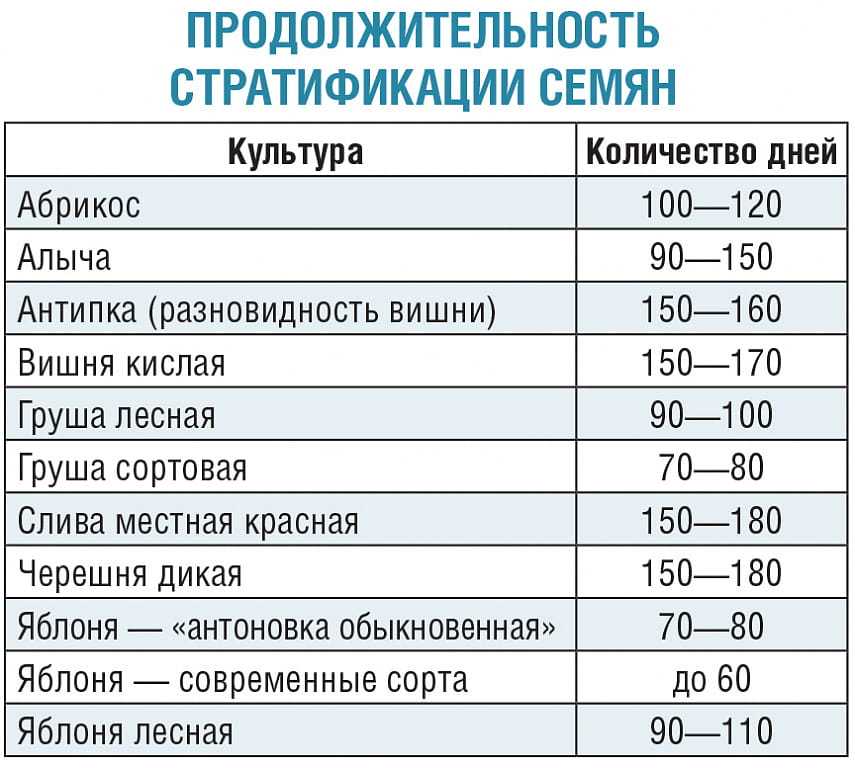 Покой семян - seed dormancy - wikipedia