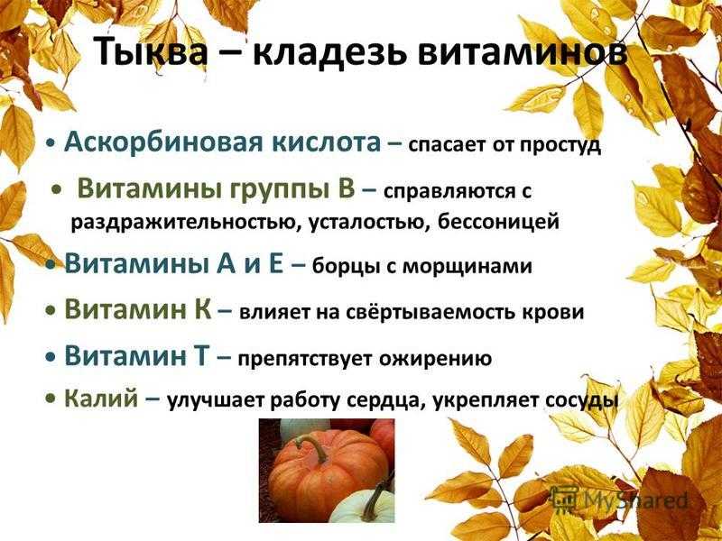Тыква обыкновенная