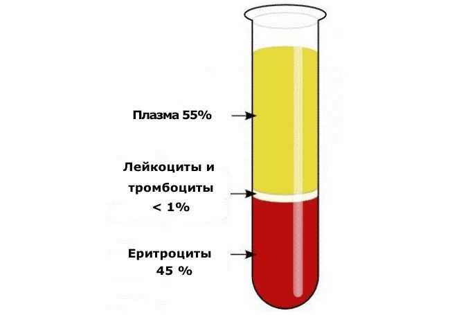 Технологическая схема сбора и первичной переработки крови с получением плазмы. контрольная работа. сельское хозяйство. 2015-06-30