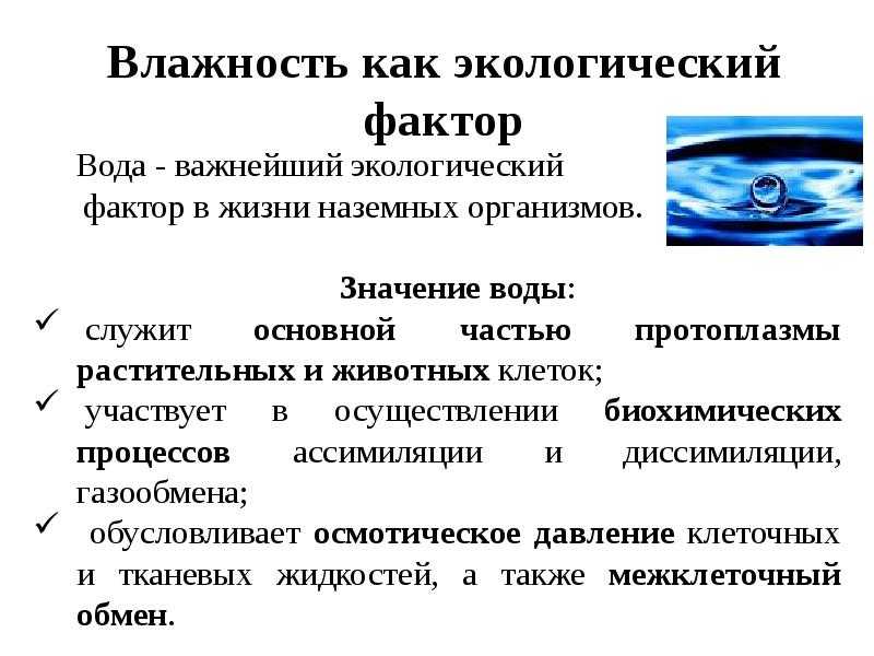 Влияет ли влажность на климат? - наука 2023
