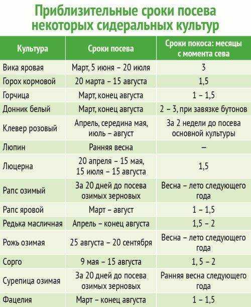 Агротехника выращивания сеянцев в лесном питомнике. все этапы работ по выращиванию сеянцев в минипитомнике питомник уход после посадки семян