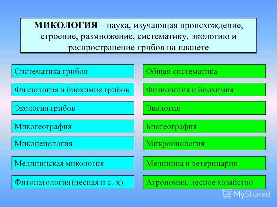 Основы миксологии: баланс
