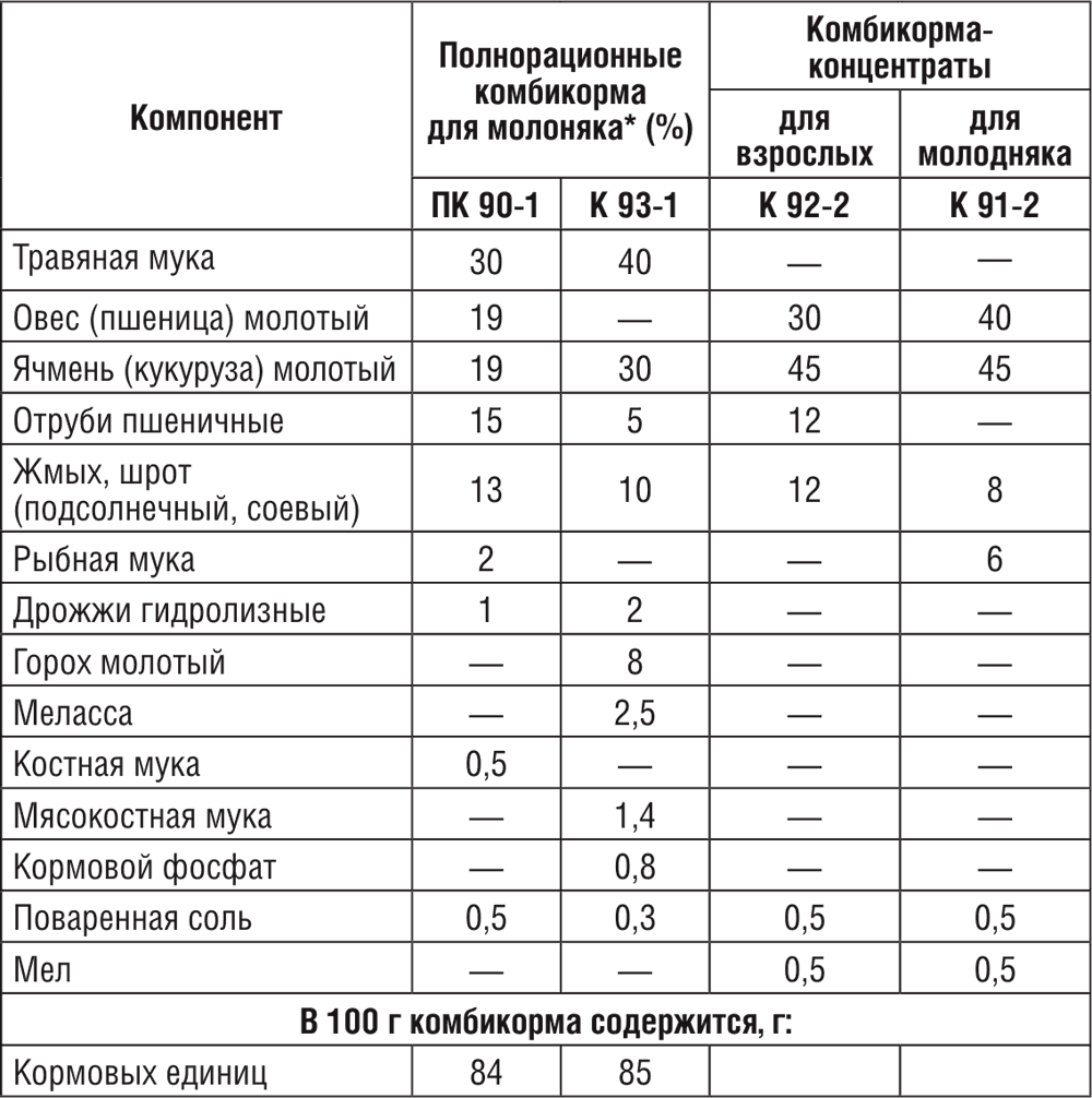 Кормление кроликов в домашних условиях для начинающих: чем и как кормить?