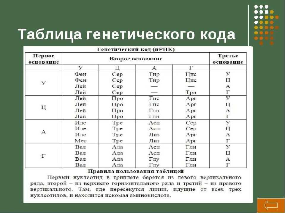 Интрогрессивная гибридизация – termwiki, millions of terms defined by people like you