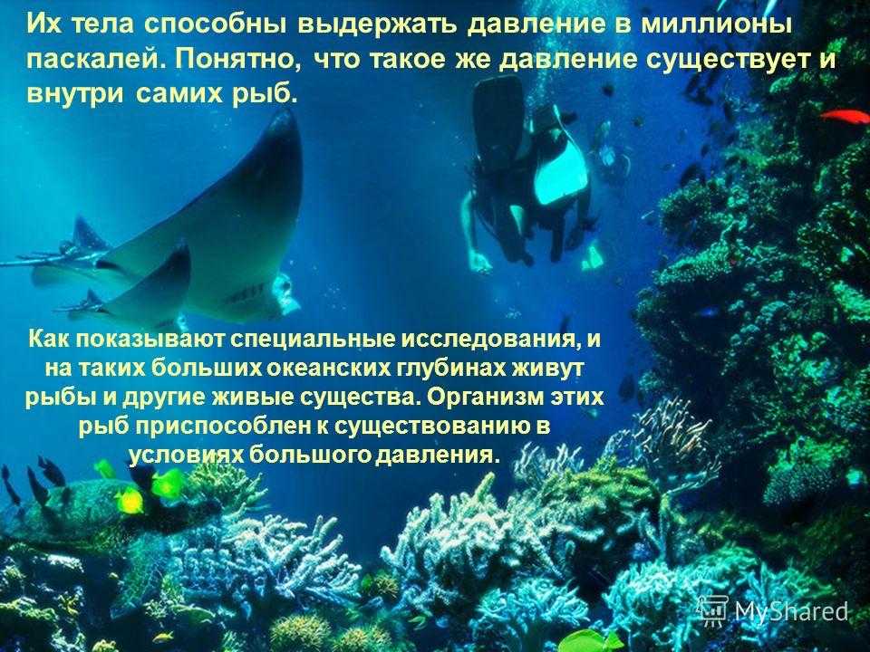 Водная среда обитания